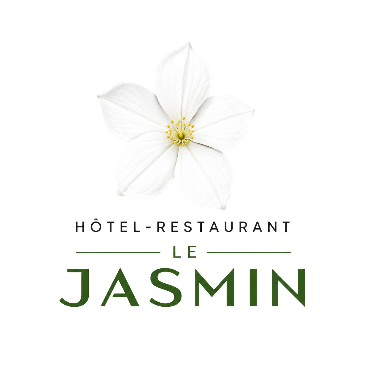 Hôtel Le Jasmin